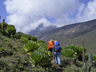 richting Mt. Kenya 
